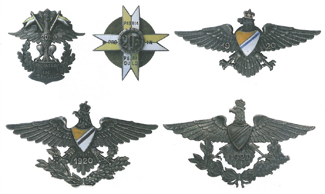 Odznaka 203. Pułku Ułanów Ochotników